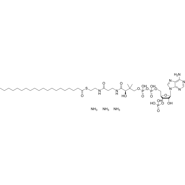 Arachidoyl-CoA triammonium 799812-91-2